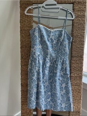 Lilly Pulitzer Light Blue and White Floral Mini Dress